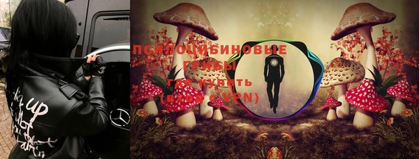 герыч Бородино