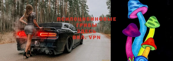 бошки Верхний Тагил