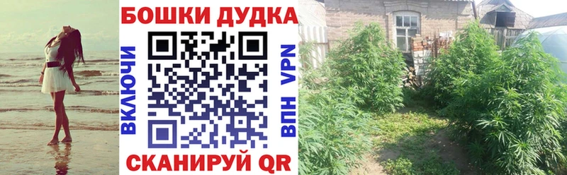 mega как зайти  Махачкала  Канабис марихуана  цены  